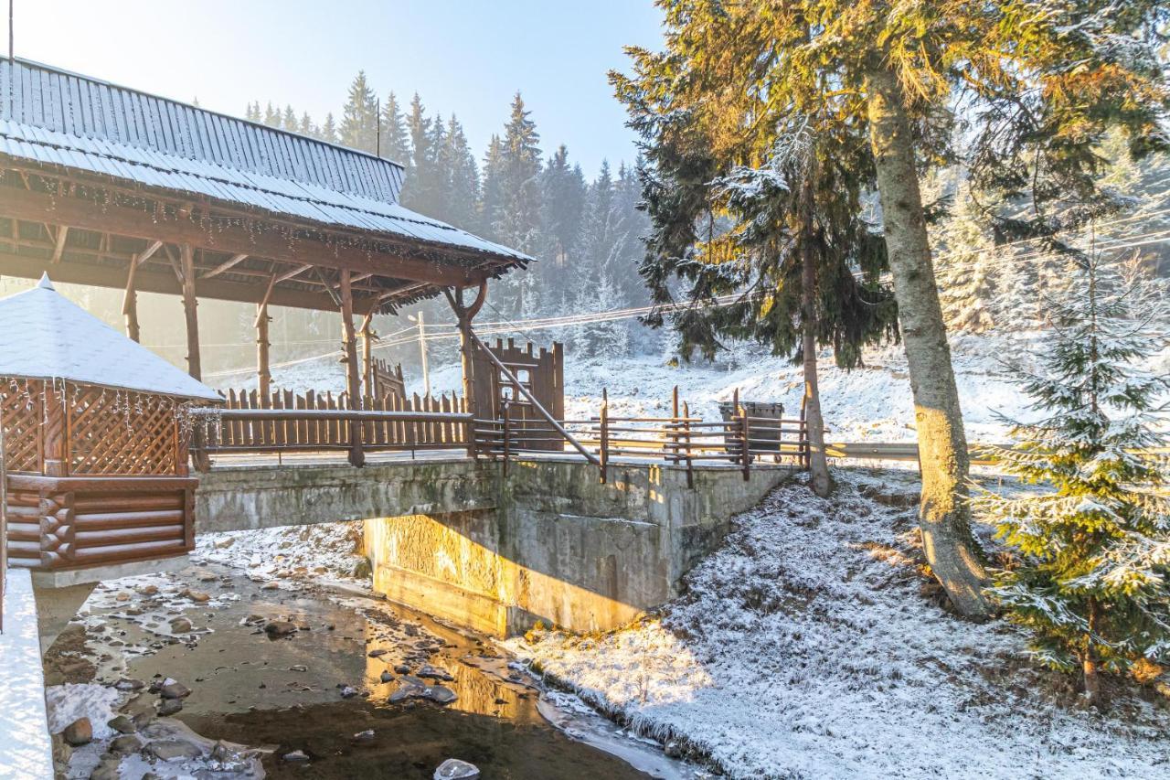 Villa Nikoletta Spa Bukovel Bagian luar foto